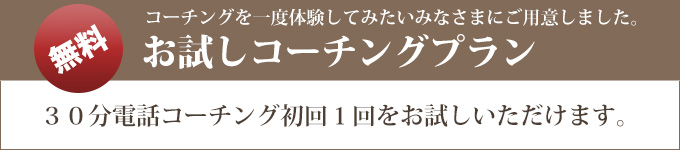 お試しコーチングプランタイトル